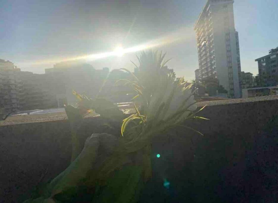 Fresh Tropical Colonial Style Walk-Up- Rooftop Terrace- Beach View San Juan Buitenkant foto